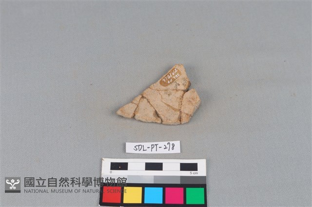 陶片藏品圖，第2張