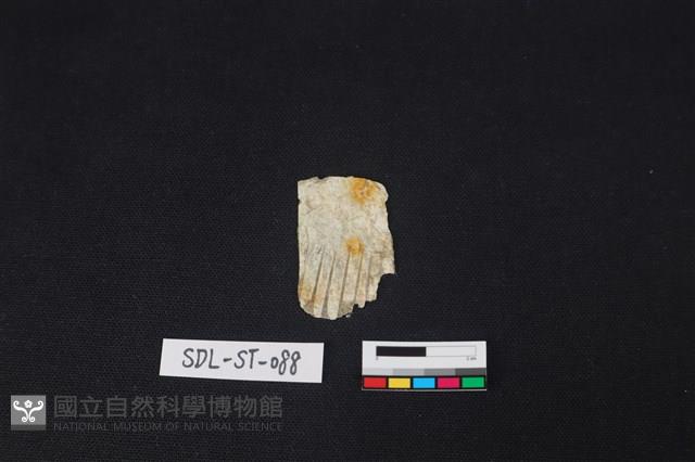 玉飾藏品圖，第2張