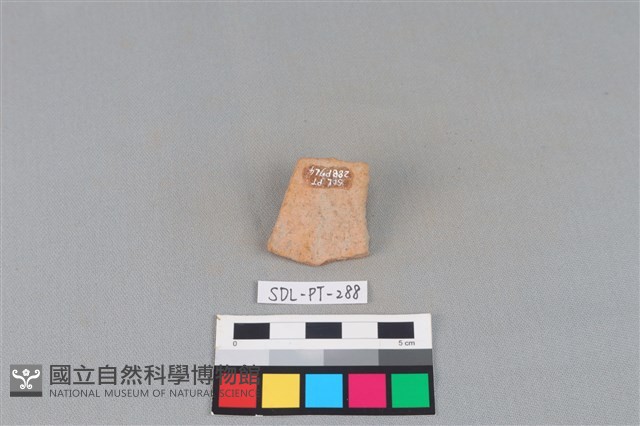 陶片藏品圖，第2張