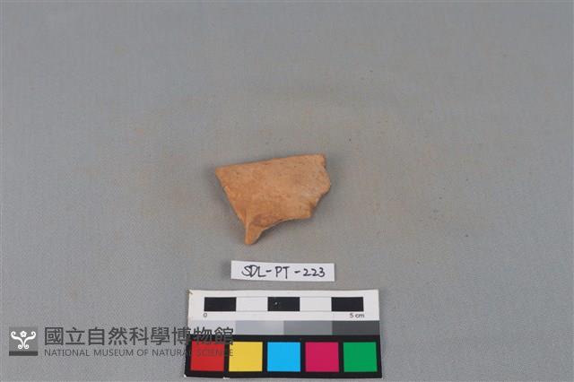 陶片藏品圖，第2張