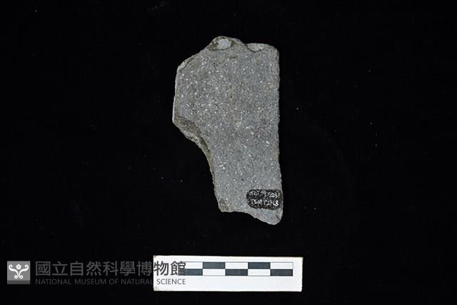 陶片藏品圖，第2張