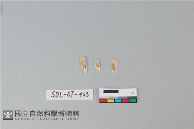 玉飾藏品圖，第2張