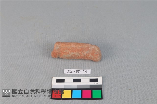 陶網墜藏品圖，第2張