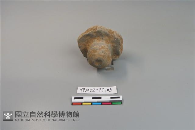 碗/淺盤型陶蓋藏品圖，第2張
