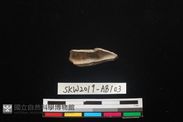 獸骨藏品圖，第2張
