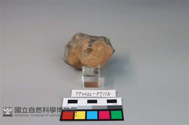 碗/淺盤型陶蓋藏品圖，第2張