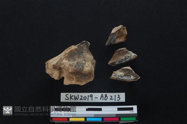 獸骨藏品圖，第2張