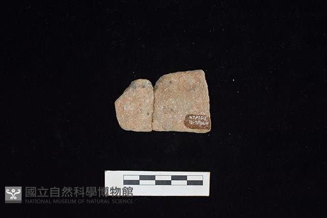 陶片藏品圖，第2張