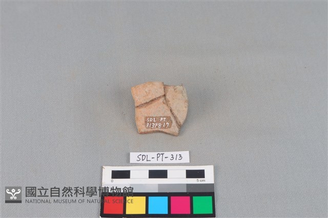 陶片藏品圖，第2張
