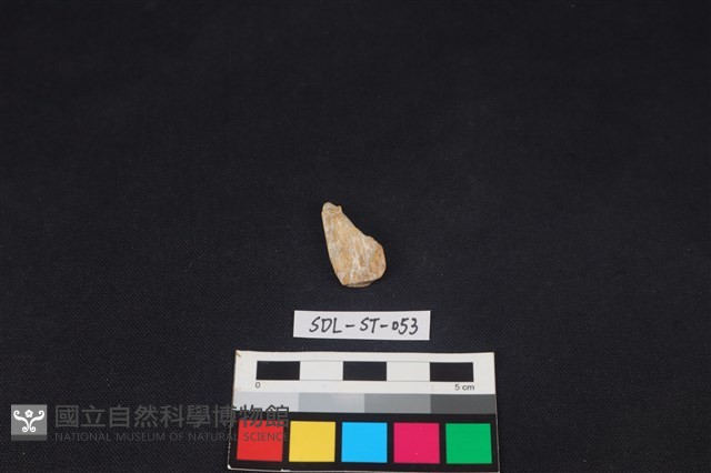 石器藏品圖，第2張