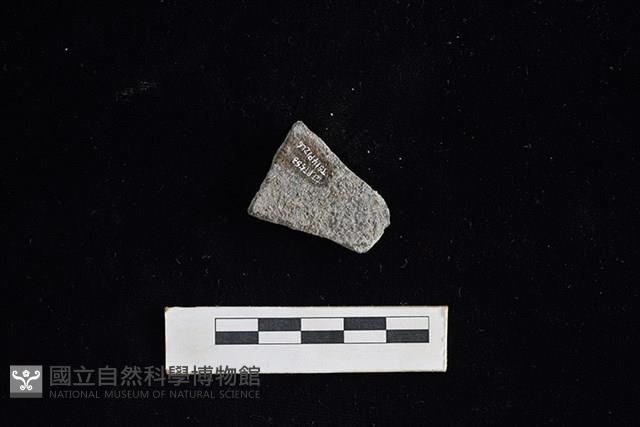 陶片藏品圖，第2張