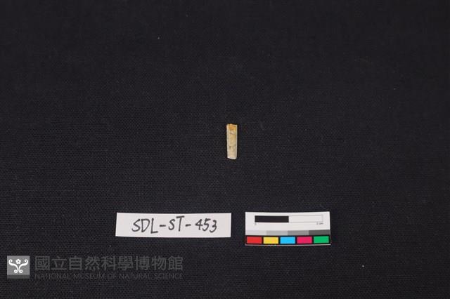 玉飾藏品圖，第2張
