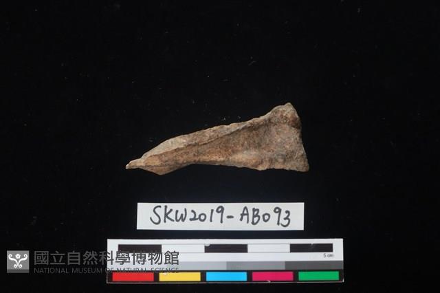 獸骨藏品圖，第2張