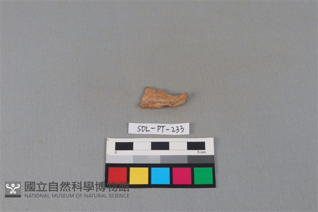 陶片藏品圖，第2張