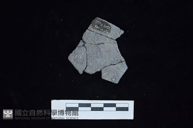 陶片藏品圖，第2張