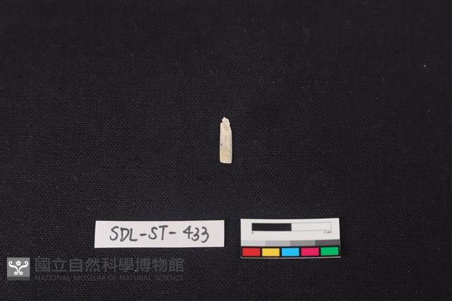 玉飾藏品圖，第2張