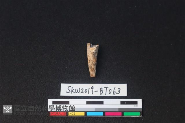 尖狀器藏品圖，第2張