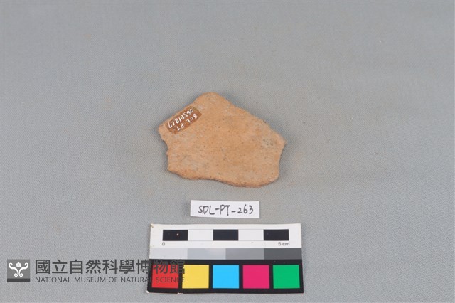 陶片藏品圖，第2張