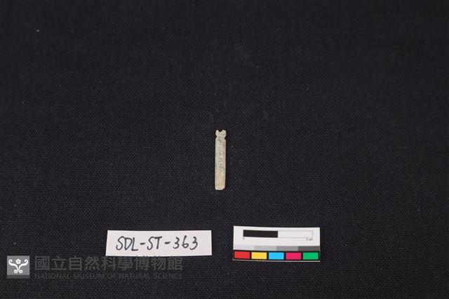 玉飾藏品圖，第2張