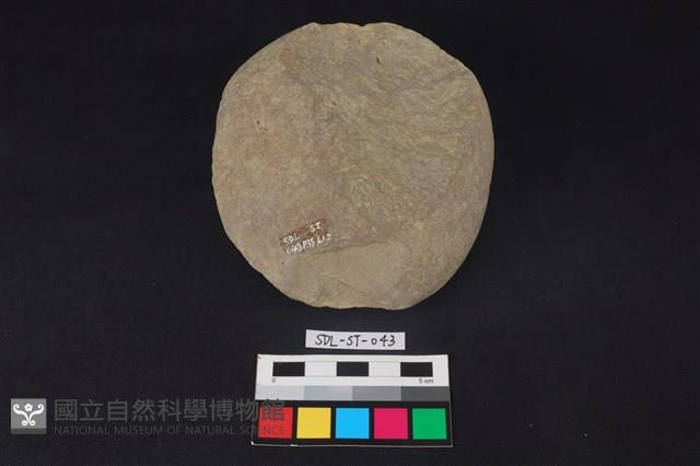 石核藏品圖，第2張