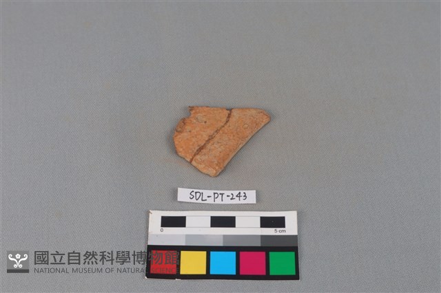 陶片藏品圖，第2張