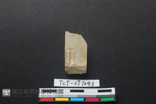 錛鑿形器藏品圖，第2張