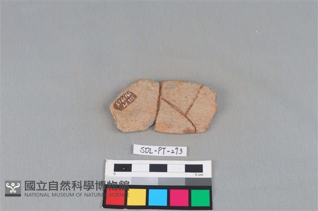 陶片藏品圖，第2張