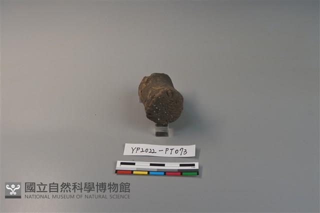 陶鈕藏品圖，第2張