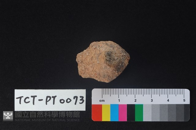 陶鈕藏品圖，第2張