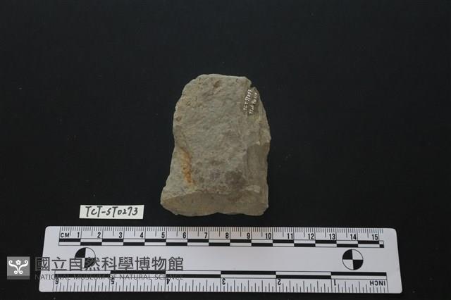 斧鋤形器藏品圖，第2張