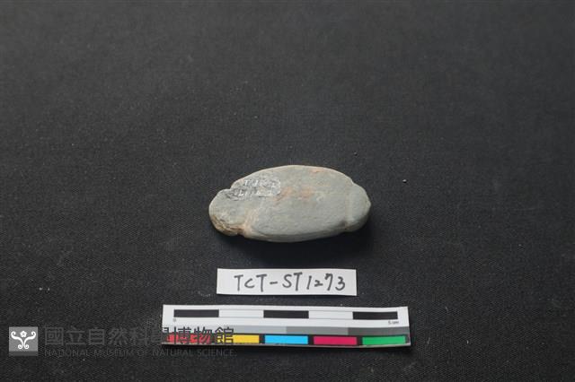 網墜藏品圖，第2張