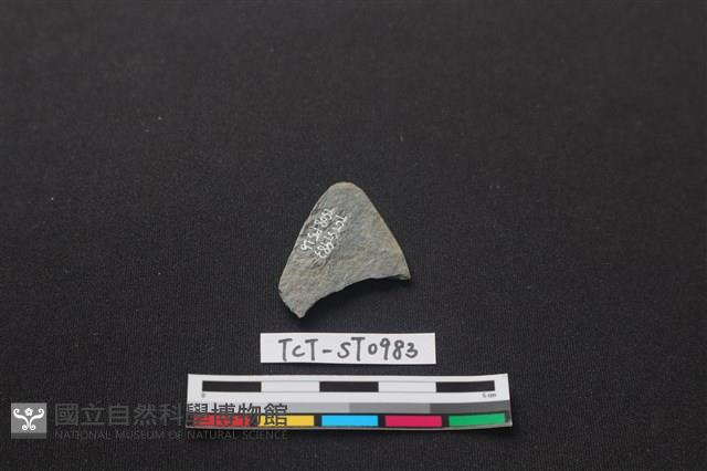 磨製石器藏品圖，第2張