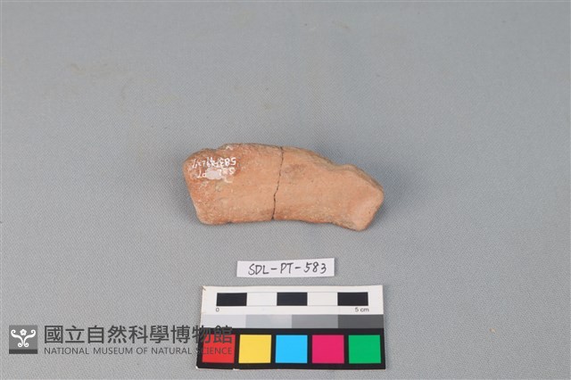 陶網墜藏品圖，第2張