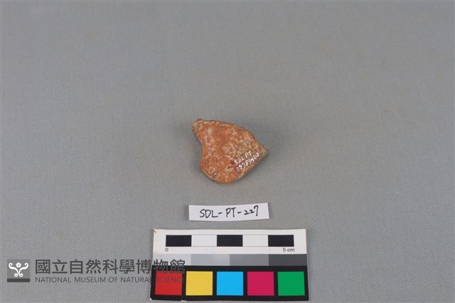 陶片藏品圖，第2張