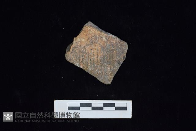 陶片藏品圖，第2張