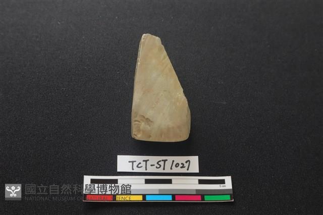 錛鑿形器藏品圖，第2張