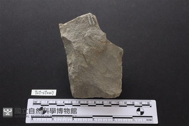 斧鋤形器藏品圖，第2張