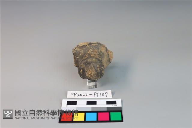碗/淺盤型陶蓋藏品圖，第2張
