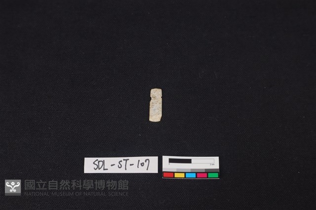 玉飾藏品圖，第2張