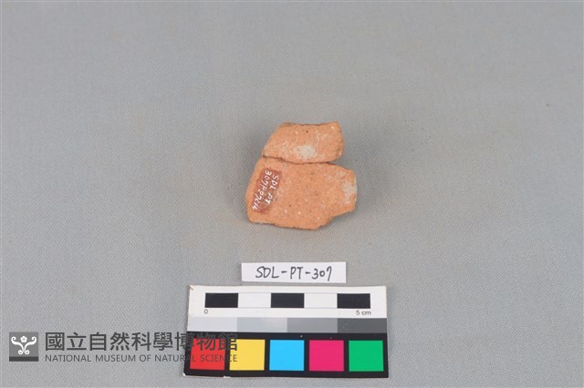 陶片藏品圖，第2張