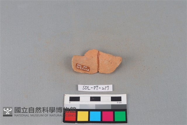 陶片藏品圖，第2張