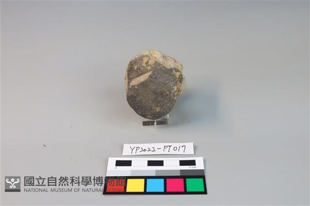 碗/淺盤型陶蓋藏品圖，第2張