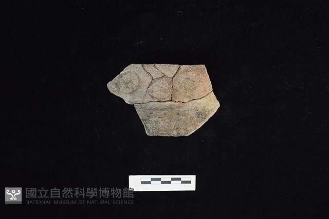 陶罐藏品圖，第2張