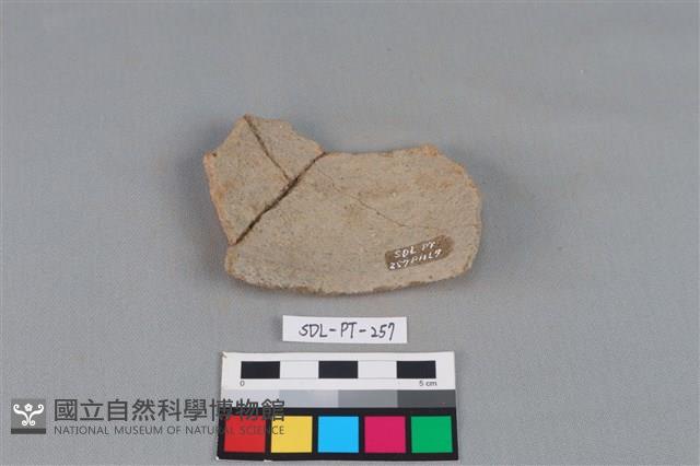 陶片藏品圖，第2張