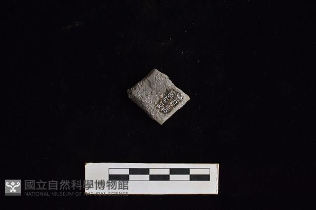 陶片藏品圖，第2張