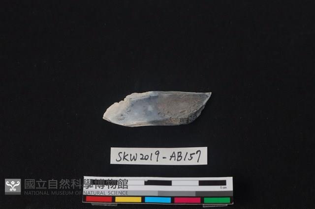 獸骨藏品圖，第2張