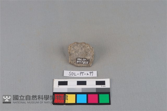 陶片藏品圖，第2張