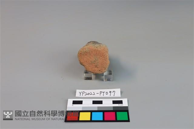 碗/淺盤型陶蓋藏品圖，第2張