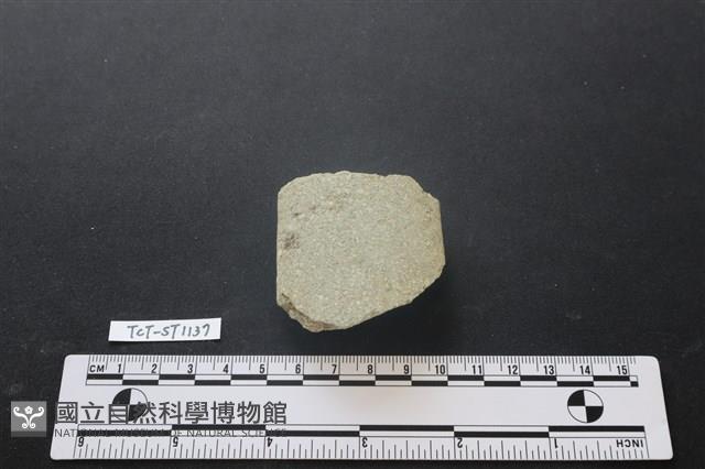 磨製斧鋤形器藏品圖，第2張