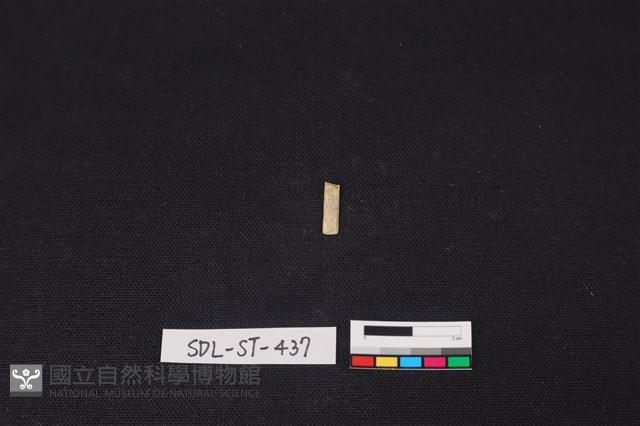 玉飾藏品圖，第2張